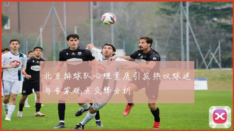 北京排球队心理素质引发热议球迷与专家观点交锋分析