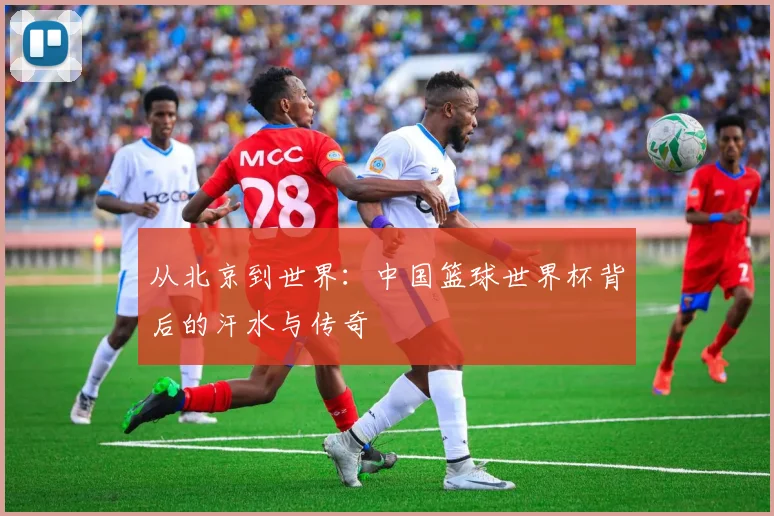 从北京到世界：中国篮球世界杯背后的汗水与传奇