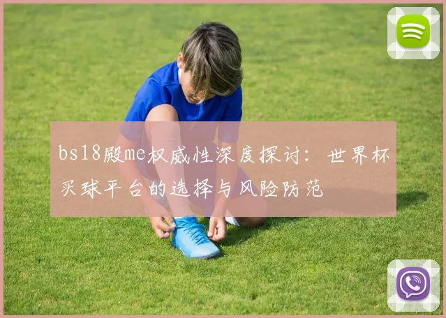 bs18殿me权威性深度探讨：世界杯买球平台的选择与风险防范
